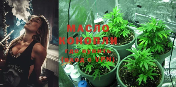 шишки Медногорск