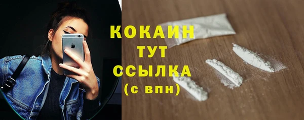 шишки Медногорск