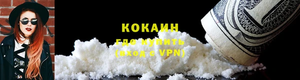 шишки Медногорск