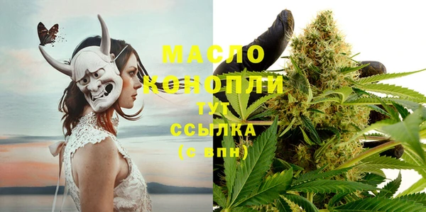 мдпв Михайлов