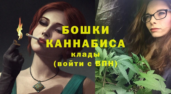 шишки Медногорск