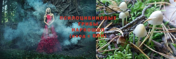 шишки Медногорск
