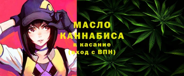 мдпв Михайлов