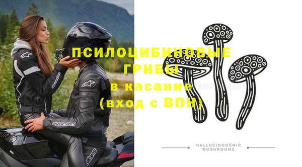 мдпв Михайлов